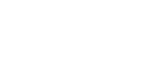 Bolt logo